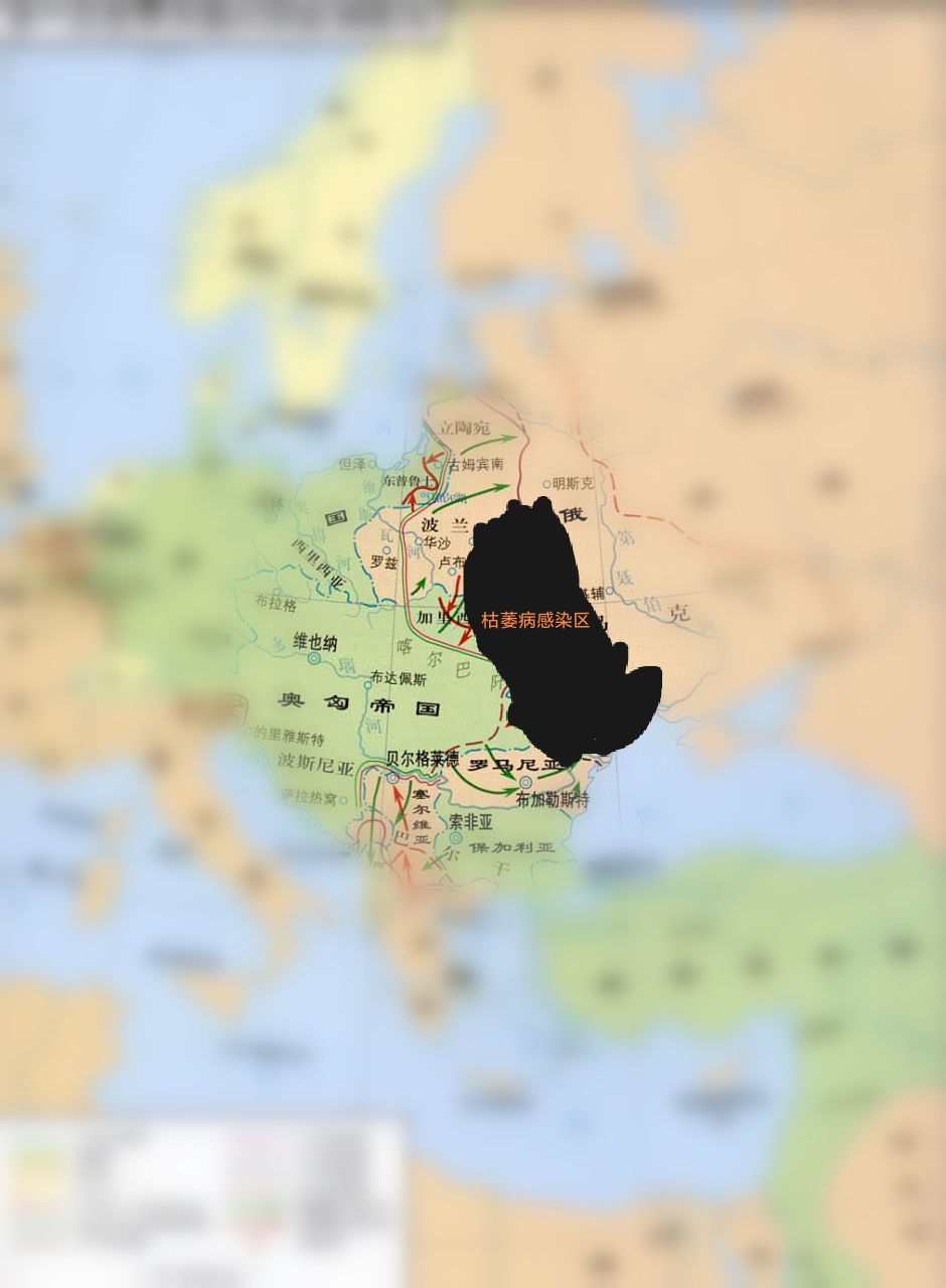 center_image